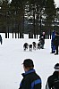 IMG_7603.jpg IMG_7603.jpg