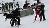 IMG_7608.jpg IMG_7608.jpg
