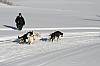 IMG_7624.jpg IMG_7624.jpg
