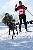 IMG_7649.jpg IMG_7649.jpg