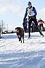 IMG_7656.jpg IMG_7656.jpg