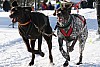 IMG_7671.jpg IMG_7671.jpg