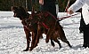 IMG_7701.jpg IMG_7701.jpg