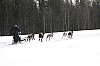 IMG_7712.jpg IMG_7712.jpg