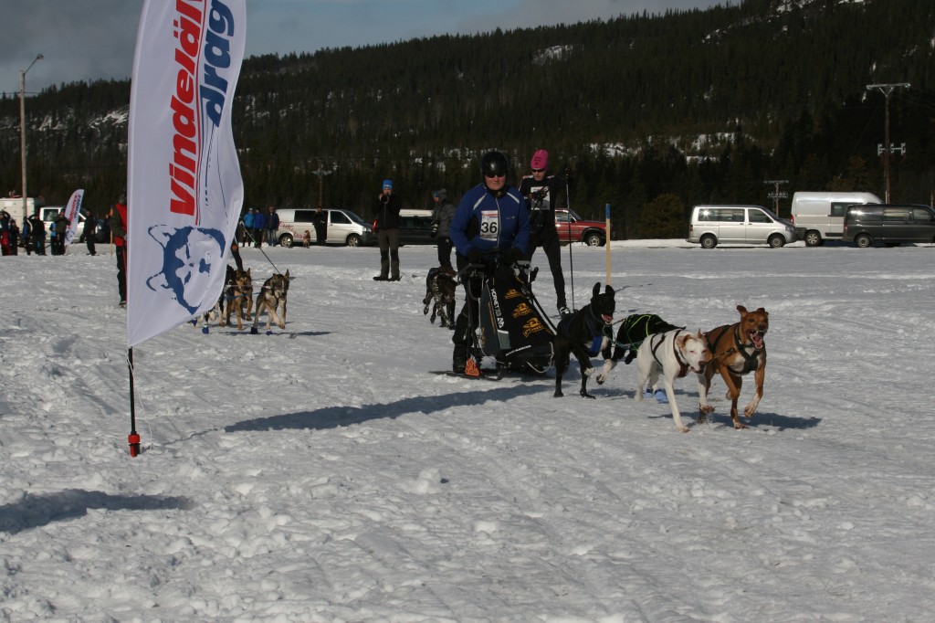 IMG_6124.jpg