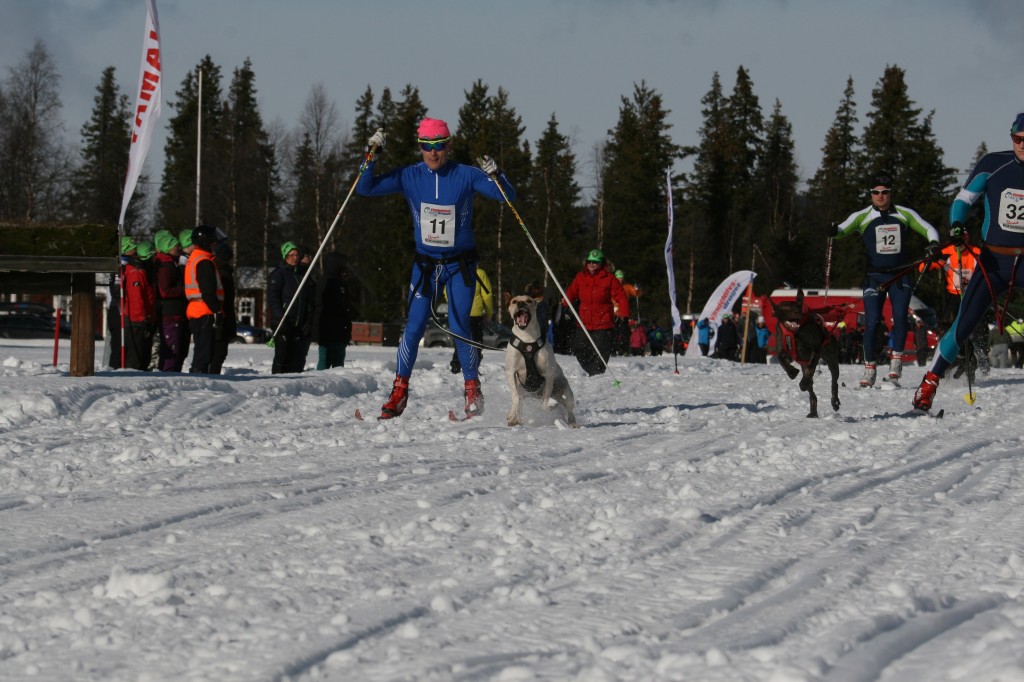 IMG_6130.jpg