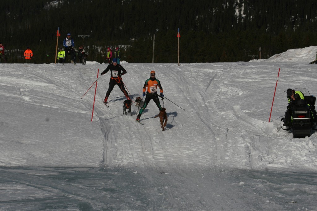 IMG_6138.jpg