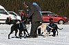 IMG_6119.jpg IMG_6119.jpg