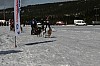 IMG_6123.jpg IMG_6123.jpg