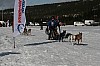 IMG_6124.jpg IMG_6124.jpg