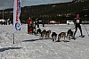 IMG_6126.jpg IMG_6126.jpg