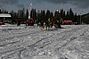 IMG_6137.jpg IMG_6137.jpg