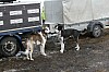 IMG_6153.jpg IMG_6153.jpg