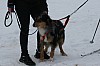 IMG_6177.jpg IMG_6177.jpg