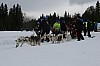 IMG_6181.jpg IMG_6181.jpg