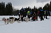 IMG_6182.jpg IMG_6182.jpg