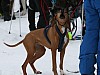 IMG_6191.jpg IMG_6191.jpg