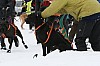 IMG_6198.jpg IMG_6198.jpg