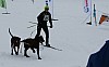IMG_6211.jpg IMG_6211.jpg
