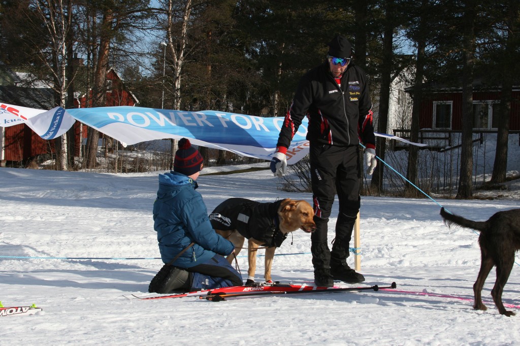 IMG_6222.jpg