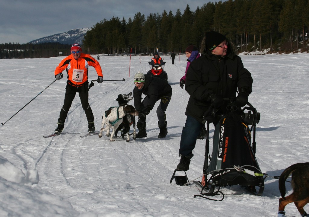 IMG_6262.jpg