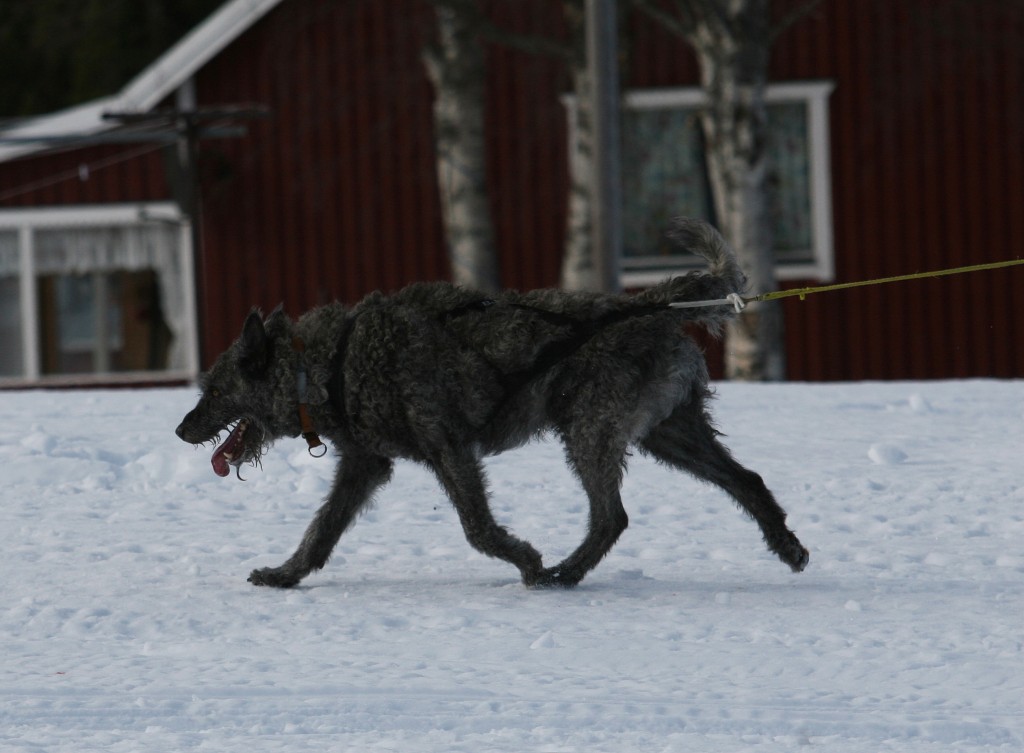 IMG_6294.jpg