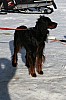 IMG_6214.jpg IMG_6214.jpg
