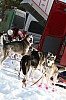 IMG_6215.jpg IMG_6215.jpg