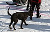 IMG_6216.jpg IMG_6216.jpg