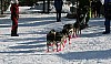 IMG_6218.jpg IMG_6218.jpg
