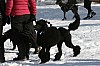 IMG_6224.jpg IMG_6224.jpg