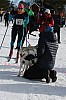 IMG_6233.jpg IMG_6233.jpg