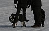 IMG_6240.jpg IMG_6240.jpg