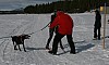 IMG_6252.jpg IMG_6252.jpg