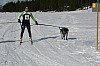 IMG_6256.jpg IMG_6256.jpg