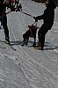 IMG_6258.jpg IMG_6258.jpg