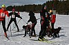 IMG_6259.jpg IMG_6259.jpg