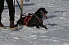 IMG_6260.jpg IMG_6260.jpg