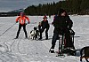 IMG_6262.jpg IMG_6262.jpg