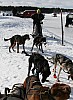 IMG_6263.jpg IMG_6263.jpg