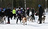 IMG_6268.jpg IMG_6268.jpg