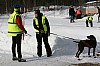 IMG_6273.jpg IMG_6273.jpg