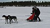 IMG_6274.jpg IMG_6274.jpg