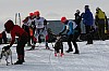 IMG_6276.jpg IMG_6276.jpg