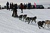 IMG_6277.jpg IMG_6277.jpg