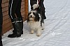 IMG_6278.jpg IMG_6278.jpg