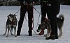 IMG_6281.jpg IMG_6281.jpg