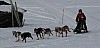 IMG_6285.jpg IMG_6285.jpg