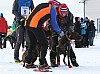 IMG_6287.jpg IMG_6287.jpg