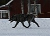 IMG_6294.jpg IMG_6294.jpg